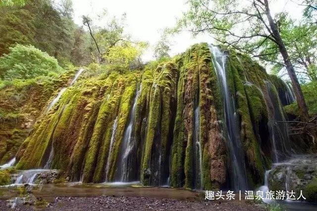 “小站点”撬动“大民生”——西安碑林区聚力公共就业服务绘就幸福生活底色