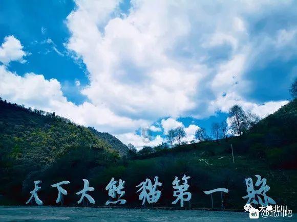 无休止的树