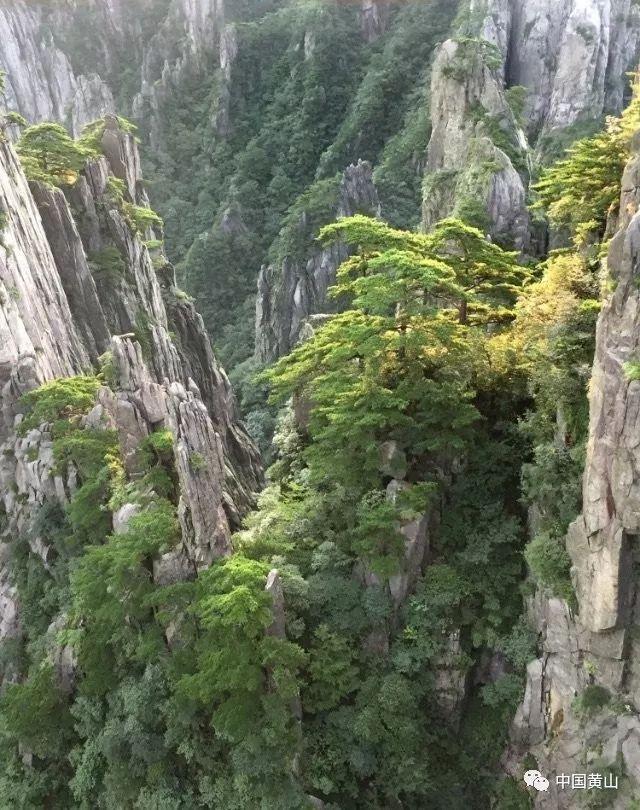 小初音大冒险